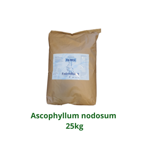 Ascophyllum nodosum 25kg.png